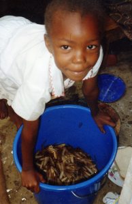 After the rain storm Christine collected flying ants to fry for our lunch