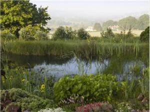 marathon Trench Hill2