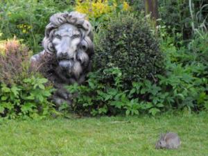 The lion and the lamb