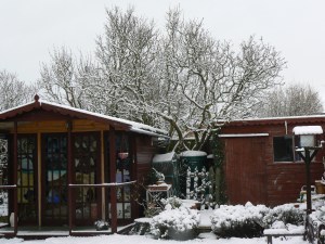 Frosty day in the garden