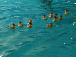 Little plastic ducklings