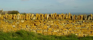 dry stone wall in the cotswolds