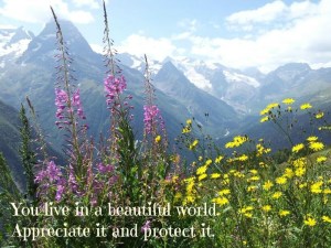 It is a beautiful world.  Appreciate it and protect it