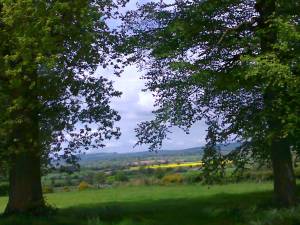 Kimbolton in Herefordshire