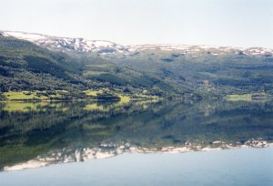 Reflections in a still lake
