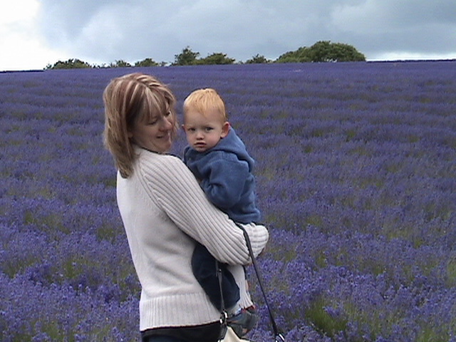 ben cath lavender field 1