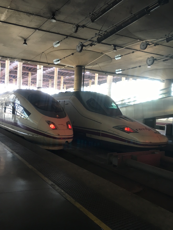 Renfe Ave High Speed Trains in Madrid