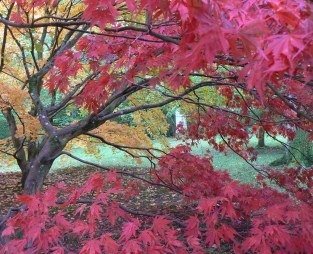 autumn blog 5